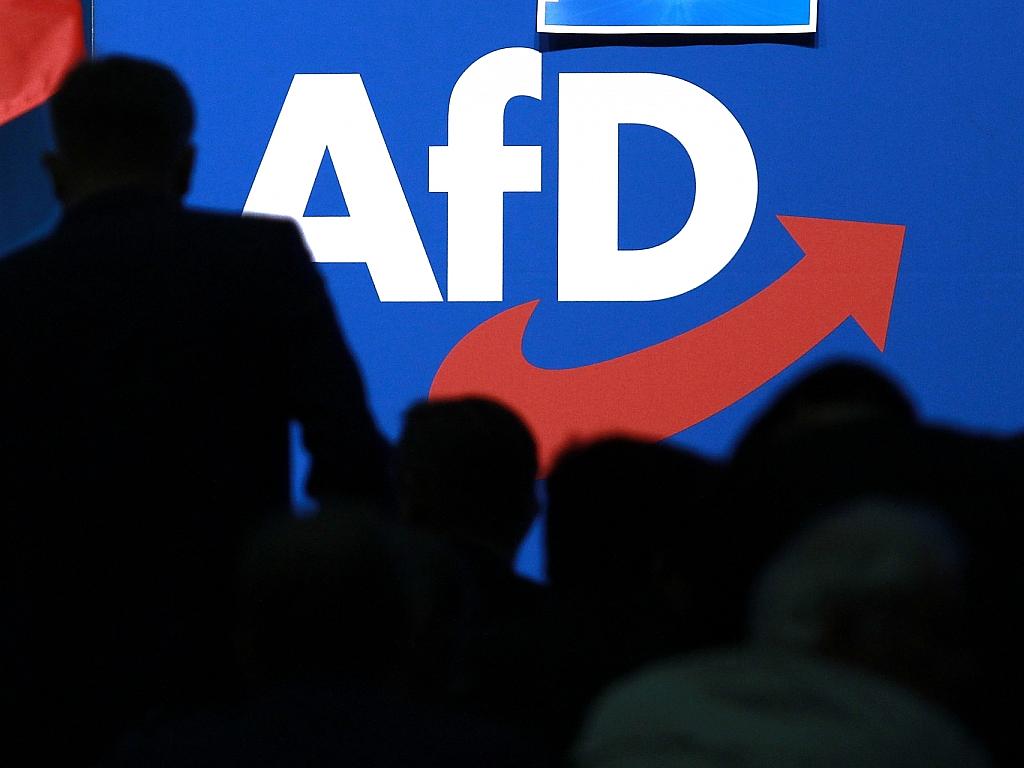 AfD-Mitgliederzahl steigt auf 70.000