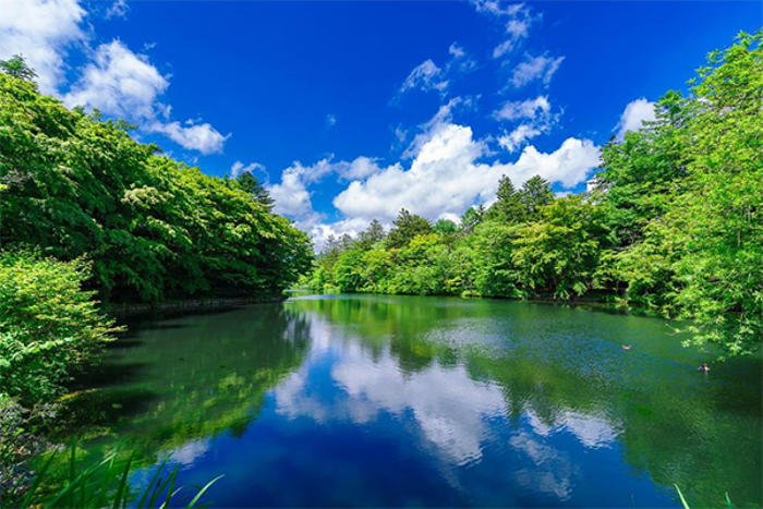 「日本の避暑地ランキング」発表！ 1位は標高約1000mに位置する長野の別荘地