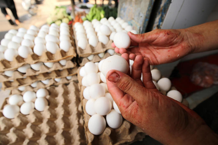 l'ue reintroduce i dazi su uova e zucchero importati da kiev