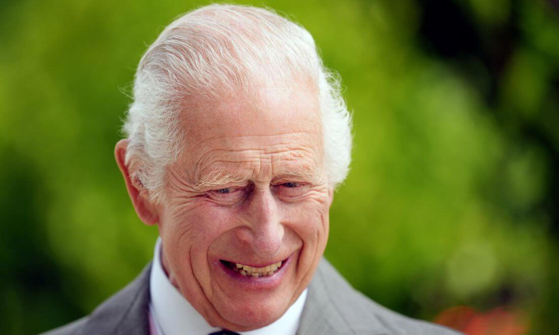 brits koningshuis deelt statige foto van koning charles