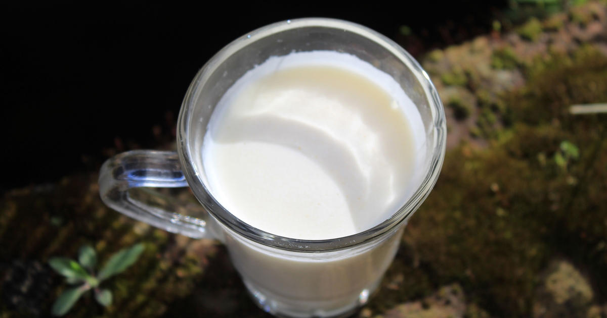 fet mjölk: den nya hälsotrenden som tar över marknaden - här är varför
