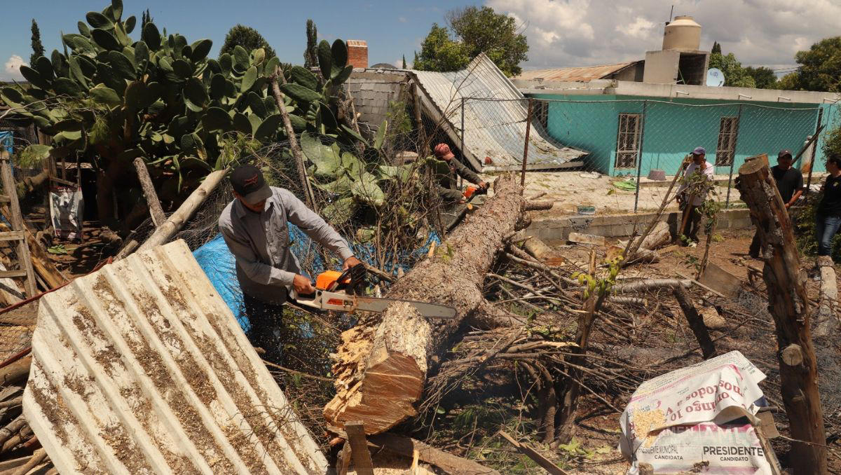 tormenta 'alberto' arrasó con viviendas y cultivos en aramberri, nuevo león