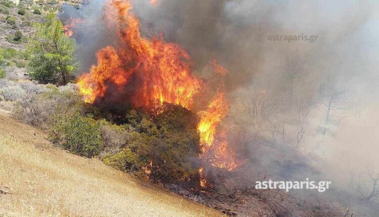 χίος: οι πρώτες εικόνες από τη μεγάλη φωτιά στο μετόχι της σιδηρούντας