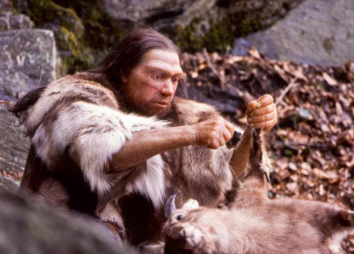 down syndrome in neanderthals: a groundbreaking discovery