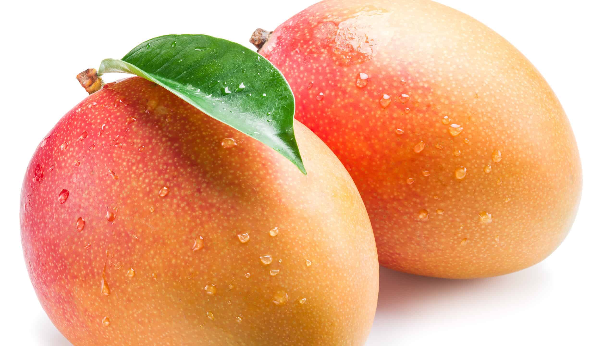 Avoid These Scents if You Want to Keep Gnats Away From You and Your Home