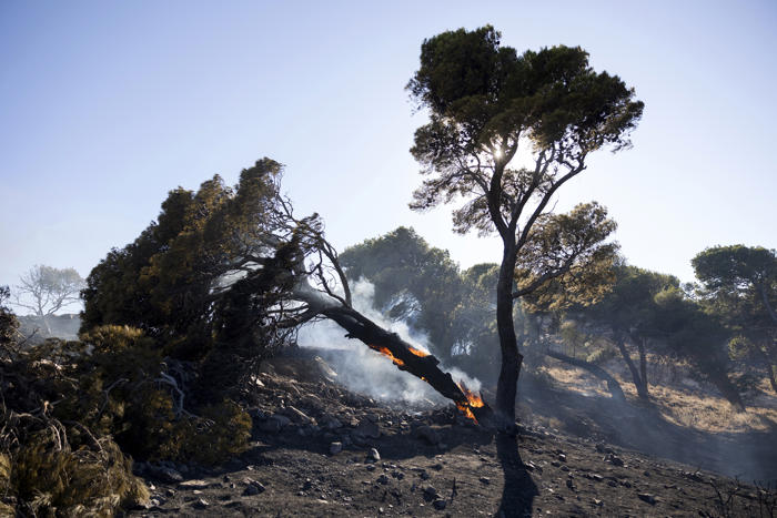 los bomberos combaten incendios en las islas griegas de chios y cos en un 