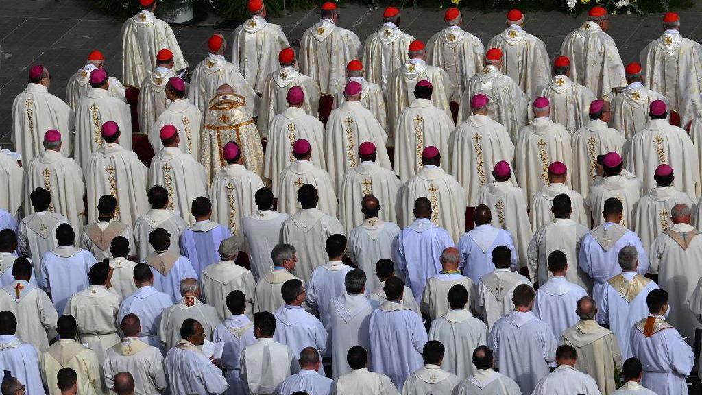 vaticano anuncia que la iglesia tendrá 14 nuevos santos y deja en suspenso la fecha para la canonización del beato millenial carlo acutis