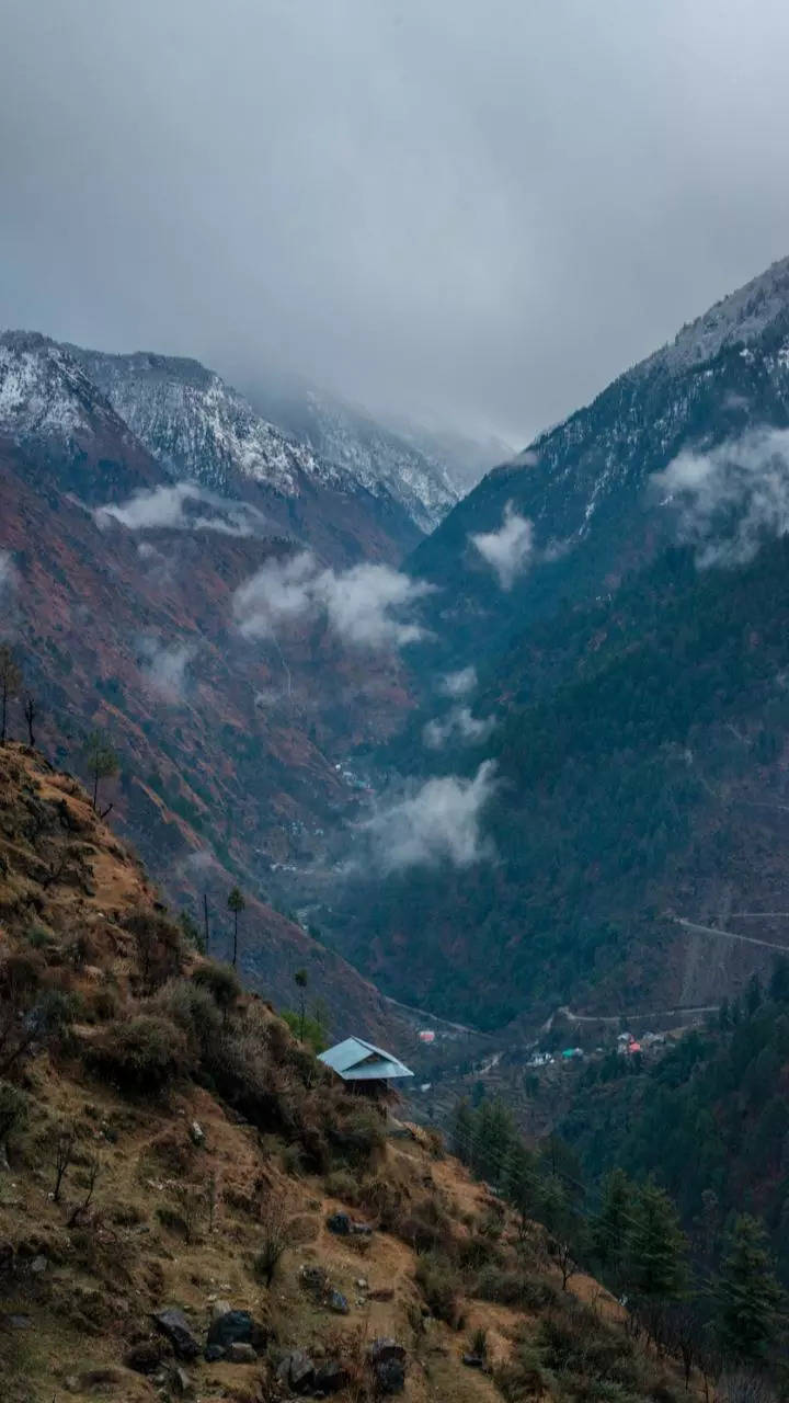 <p>Rakcham is another lesser-explored gem in Kinnaur set amidst pine forests. It offers a perfect setting for nature enthusiasts and makes for an ideal base for treks to the nearby Sangla Valley.</p>