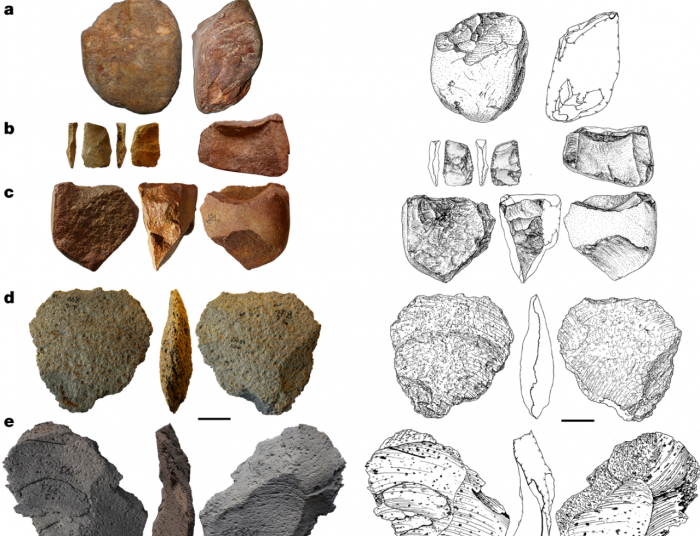 hallazgo sin precedentes: revelan el misterio de cuándo llegaron los primeros humanos a europa