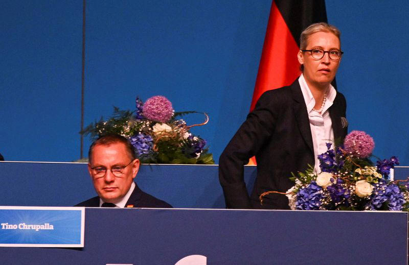 analysis-germany's far-right afd closes ranks at party congress after scandals