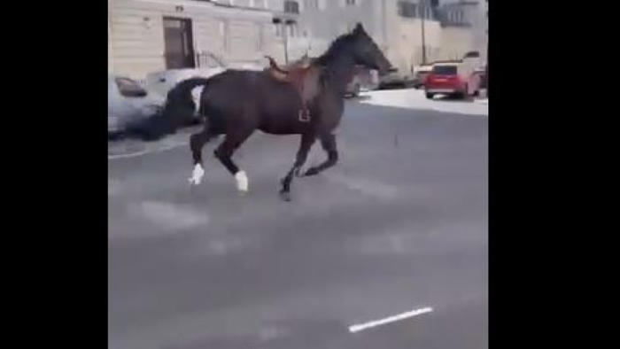 χάος στο λονδίνο: άλογα του στρατού ξέφυγαν πάλι και έτρεχαν στο κέντρο της πόλης - δείτε βίντεο