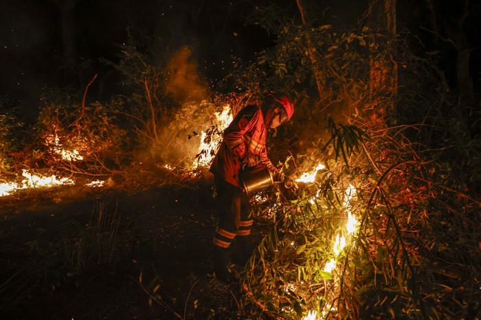 los incendios en el pantanal de brasil baten un récord histórico para un mes de junio