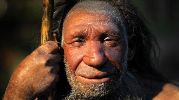 neandertalerkind mit down-syndrom: beweis für frühe fürsorge
