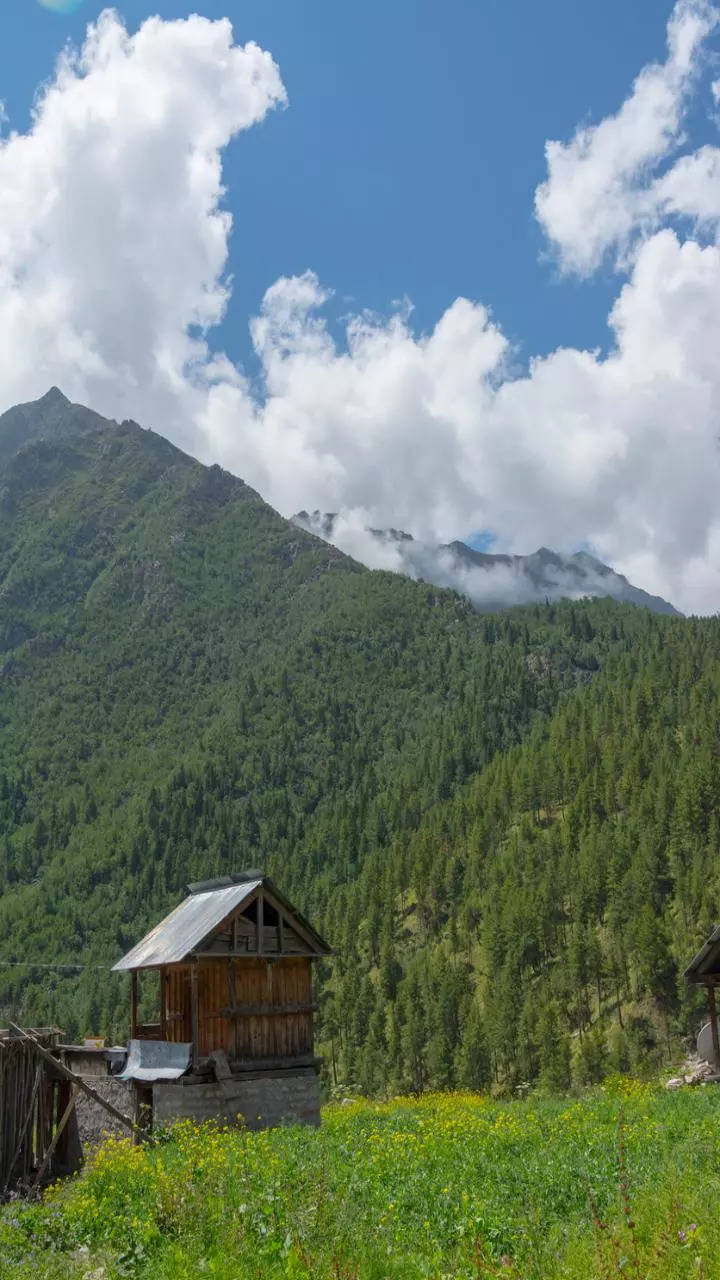 <p>Malana is famous for its unique culture and traditions. Set in the Parvati Valley, the village is noted as one of the oldest democracies in the world. This secluded village is surrounded by towering peaks.</p>
