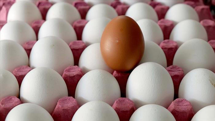 rusya'ya türkiye'den milyonlarca yumurta ithal edildi
