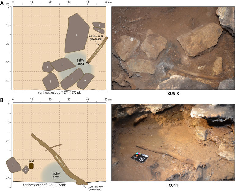 Images showing the miniature fireplaces with the sticks immediately after they were exposed by excavation at Cloggs Cave. The sticks are thought to be Australia’s oldest known wooden artifacts, according to the study. David et al., Nature Human Behaviour 2024