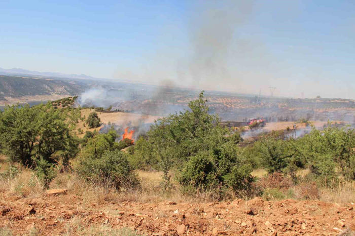 çal’da makilik alanda çıkan yangında 20 hektar alan zarar gördü