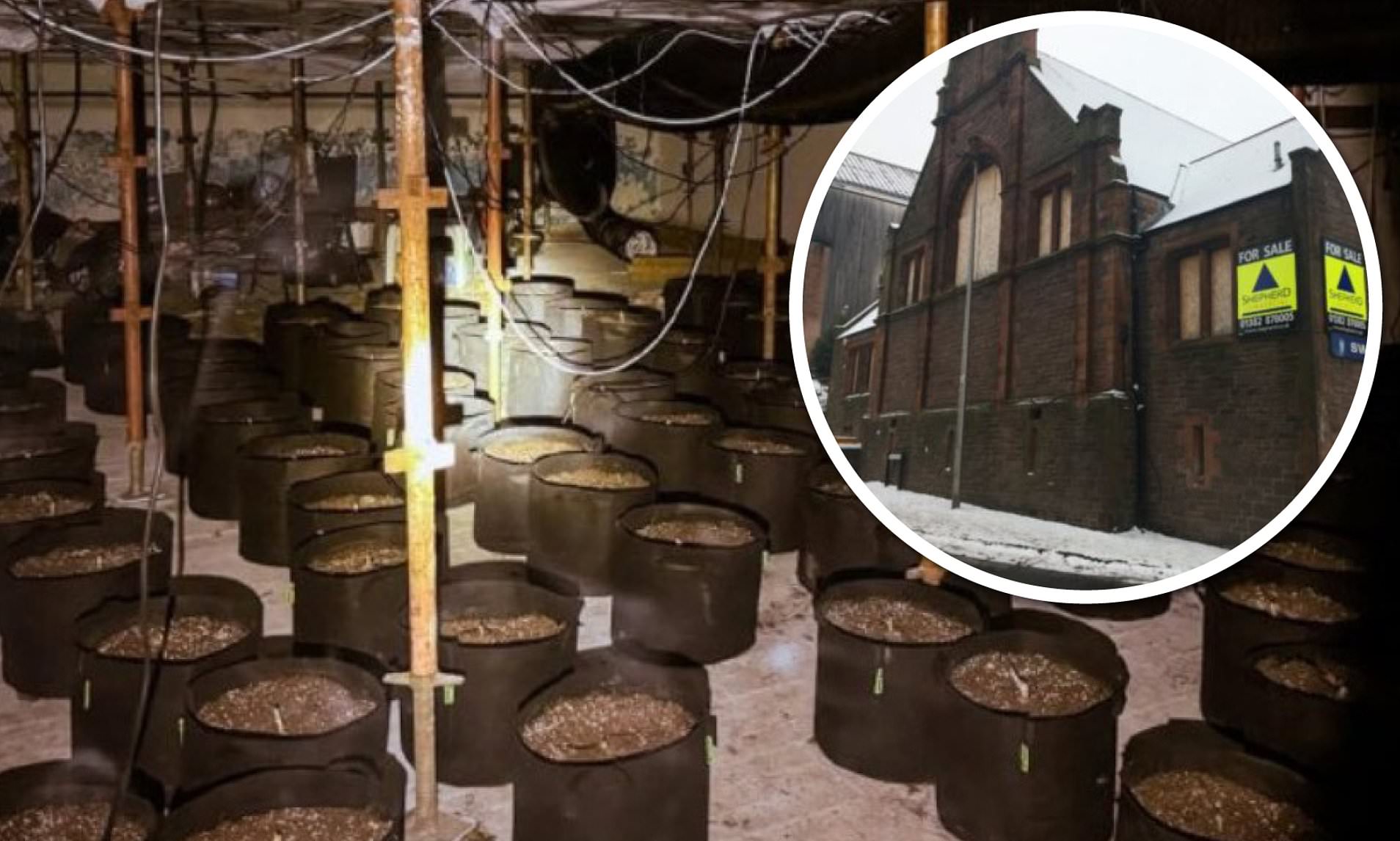 Albanian Drugs Gang Turned Disused Swimming Pool Into Cannabis Farm