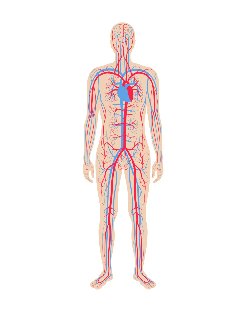 what-exactly-is-postural-orthostatic-tachycardia-syndrome