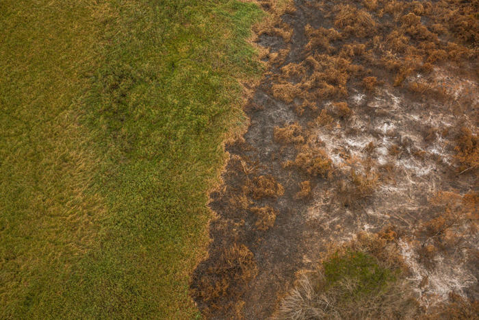 rekordwaldbrände in brasiliens feuchtgebiet pantanal