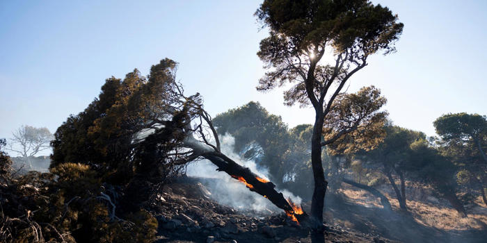 50-tal svenskar evakueras från grekiska bränder