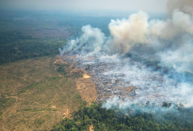 amazon, incendies au brésil: l'amazonie a connu son pire premier semestre en 20 ans