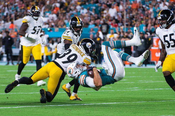 shots fired: analyst guarantees dolphins playoff win over steelers