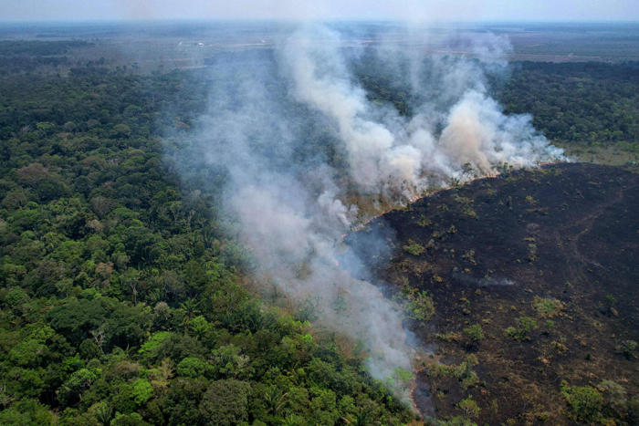 amazon, brasilian amazonilla alkuvuonna enemmän maastopaloja kuin 20 vuoteen – pantanalin kosteikkoalueella sekä cerradon savannilla ennätysmäärä paloja