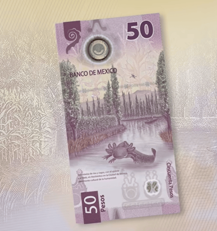 lista de números de serie de billetes de ajolote que valen más de 50 pesos