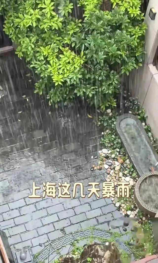 被上海暴雨控住的家：陈龙在家“打伞避雨”，陈赫家像“水帘洞”