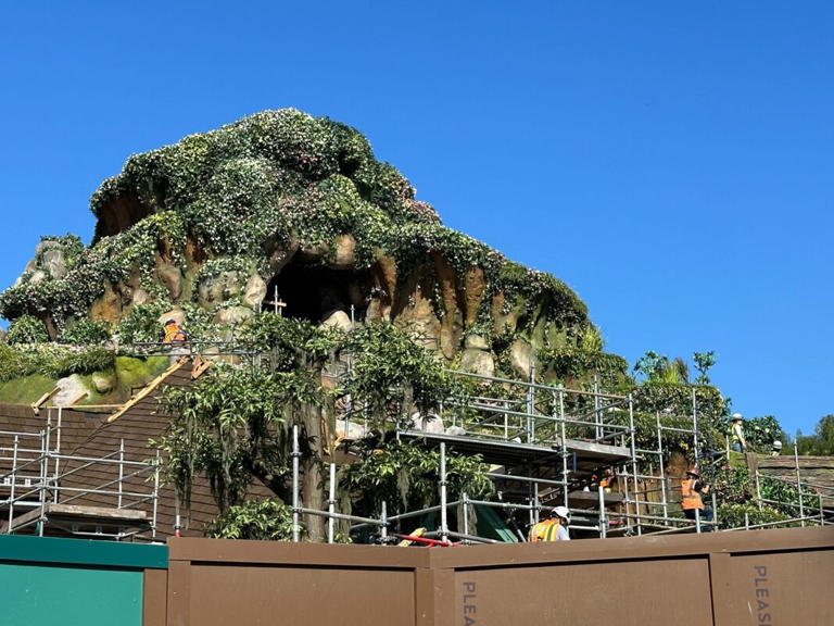Tiana’s Bayou Adventure continues to come together in Critter Country at Disneyland Park. Crews have recently been focused on the millhouse, where guests ascend the mountain into the show building. Tiana’s Bayou Adventure Construction The mill received new dark brown roof shingles. Scaffolding remains around the building. Temporary planks of wood are on the seams of the roof. The fascia and soffit at the back of the roof were painted green a few weeks ago. The wood walls of the building have been repainted or restained. They are now also dark brown. Fresh green paint is on the front of ... Read more