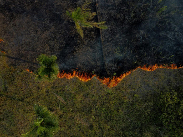 amazon, incêndios na amazônia legal batem recorde para um primeiro semestre em 20 anos