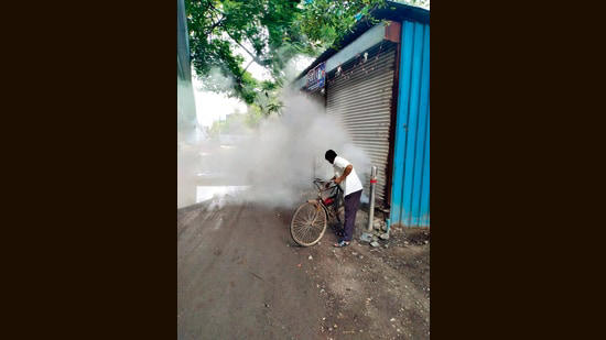 zika cases in pune: experts advise to scale up surveillance, preventive measures