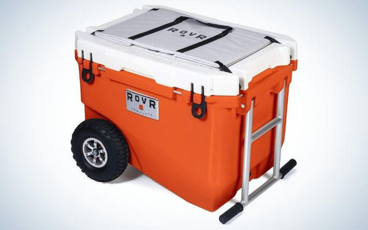 the best coolers in 2024
