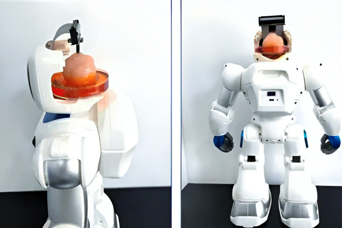 how to, robot with human brain tissue learns how to use arms