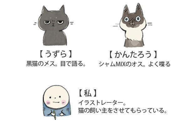 リモート会議が始まると急に騒がしくなる猫たち【連載】ねこ連れ草 313話め