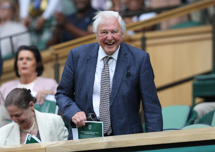 how david attenborough helped turn tennis balls yellow (yes, really)