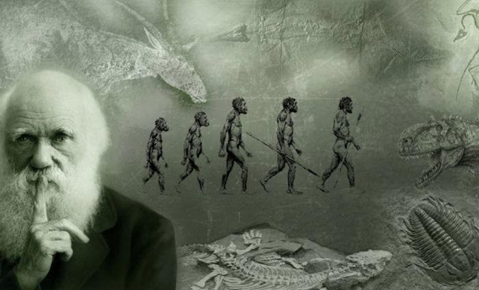 charles darwin tenía razón: cómo una tribu de indonesia evolucionó genéticamente para nadar bajo el agua por horas