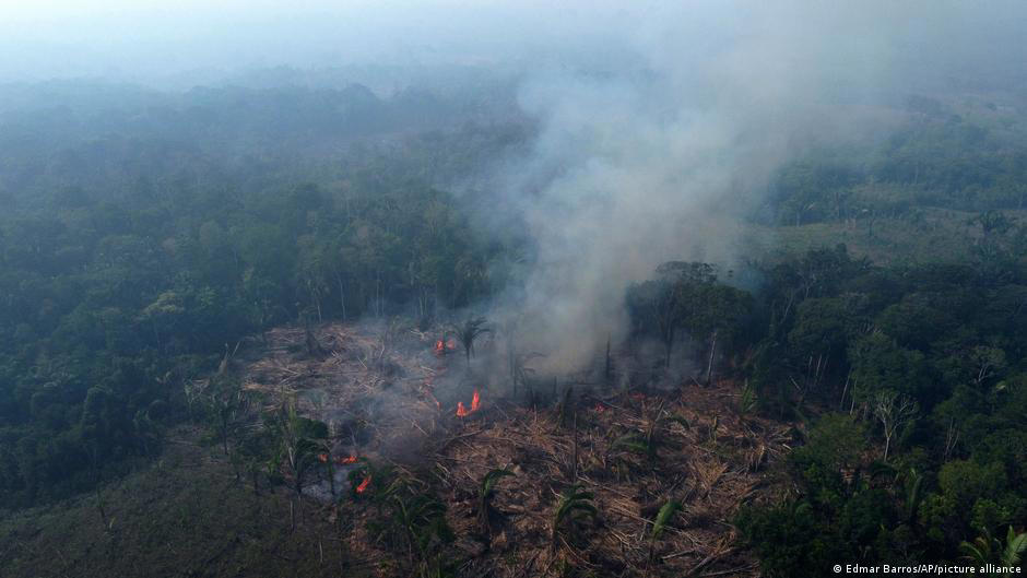 amazon, brazil's amazon sees worst 6 months of wildfires in 20 years