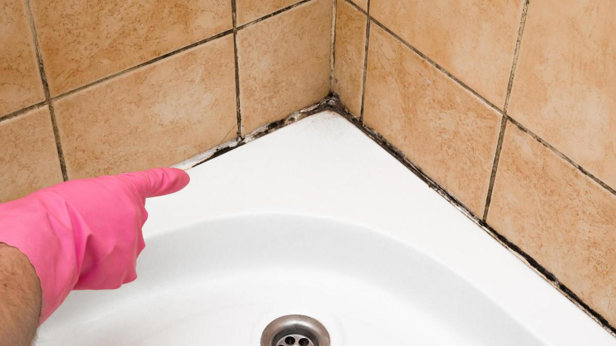 cómo hacer un limpiador casero para eliminar el moho del baño