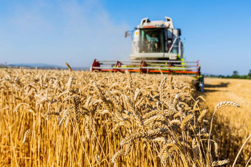 ec further cuts grain crop forecast for romania