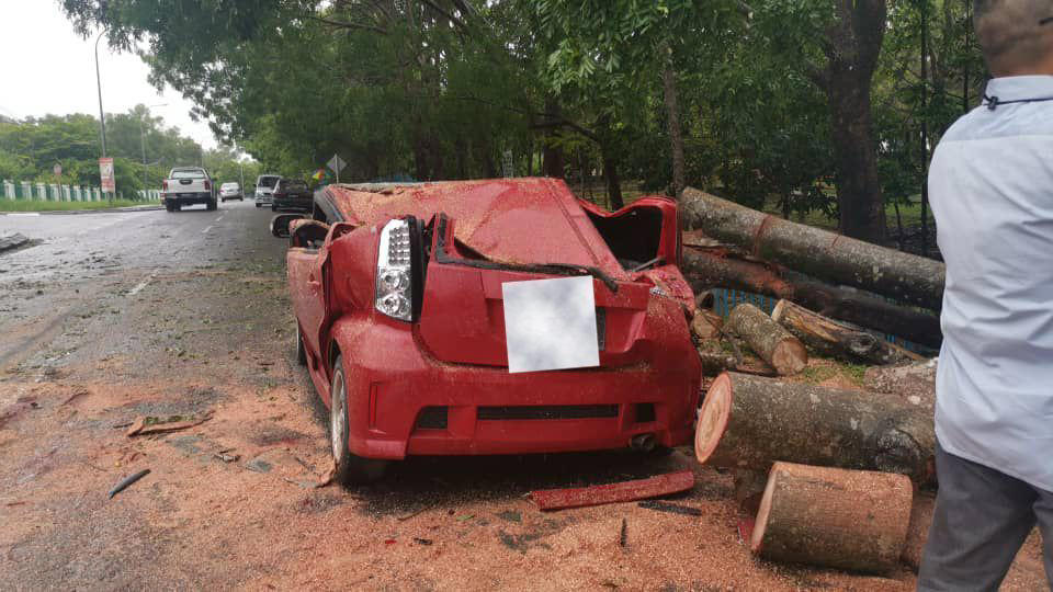 fallen tree flattens car at popular jogging park in sabah