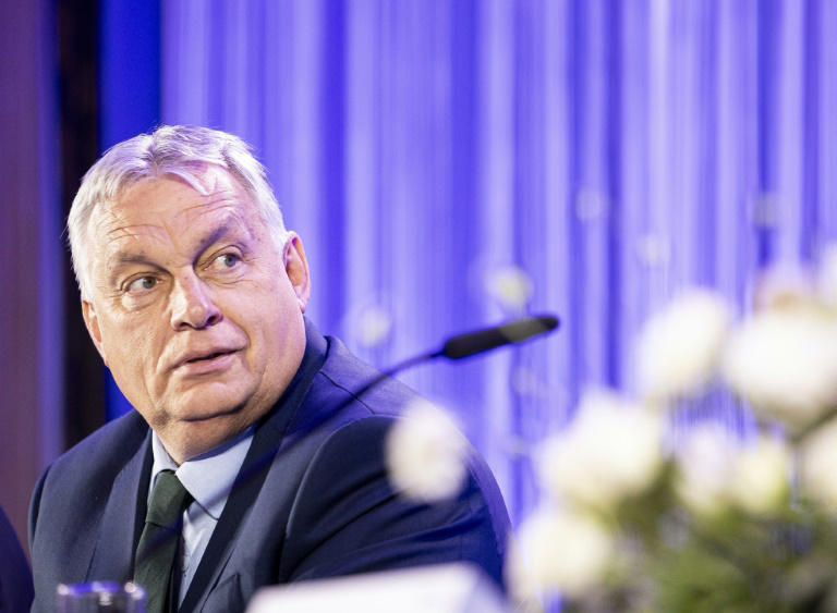 hungary's orban visits ukraine with aid tensions running high