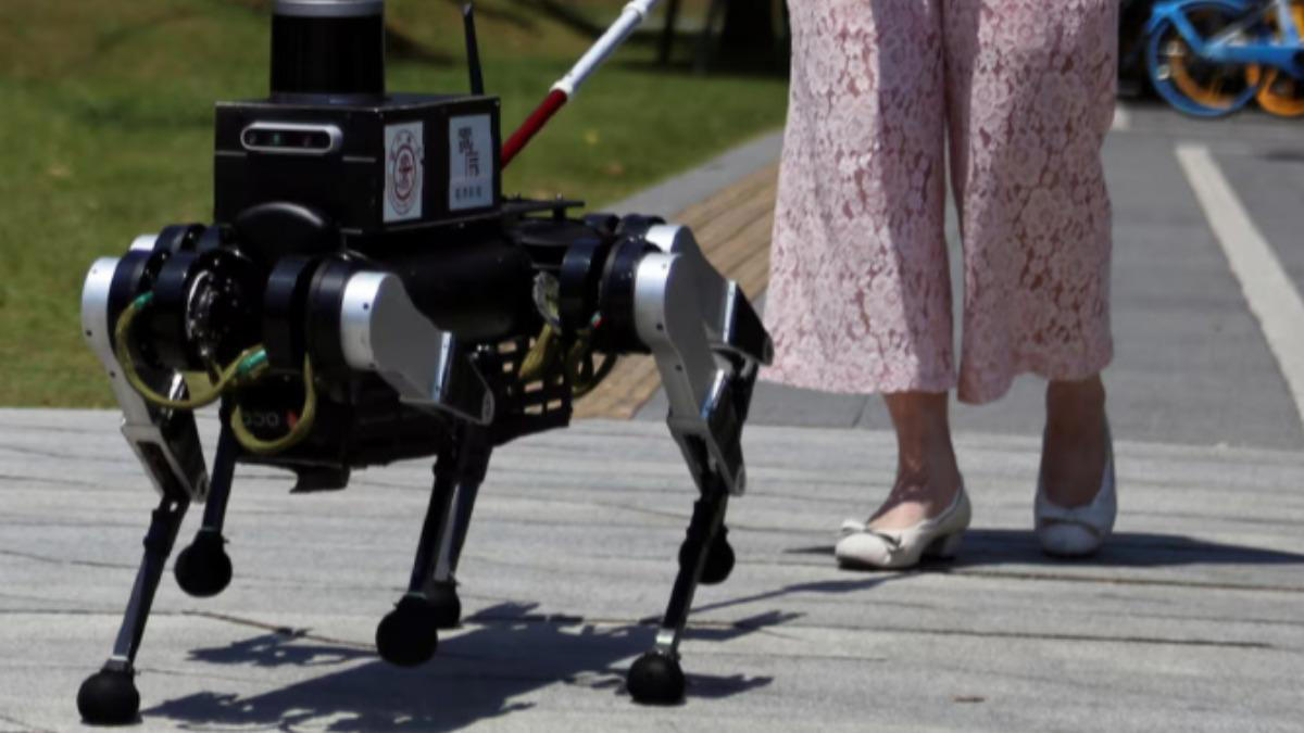 6隻腳的機器狗！ 外媒曝光上海交大測試「機器導盲犬」