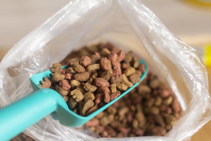 dog, cat food recall sparks nationwide warning to pet owners
