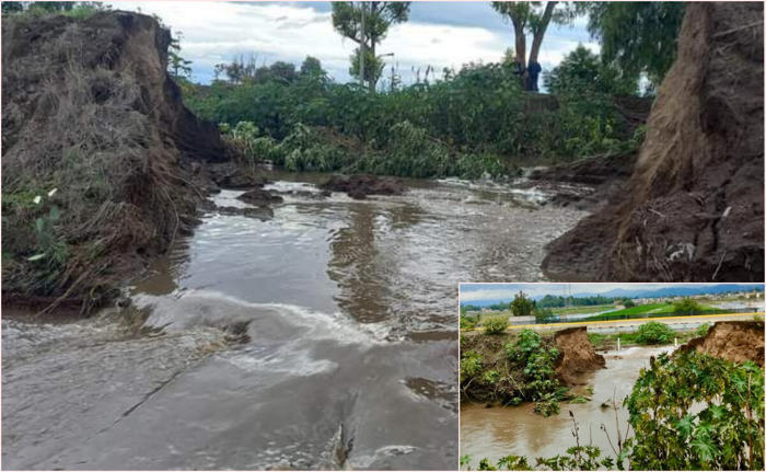desborde del río papalotla en san salvador atenco inunda más de 150 hectáreas de cultivo