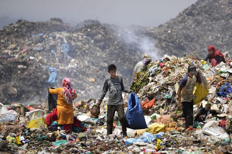 ‘they don’t know if they’ll survive’: the indian garbage pickers working through extreme heat