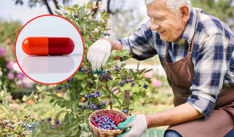 jaskrę mogą pomóc leczyć owoce. polscy naukowcy opracowali kapsułkę z ich ekstraktami