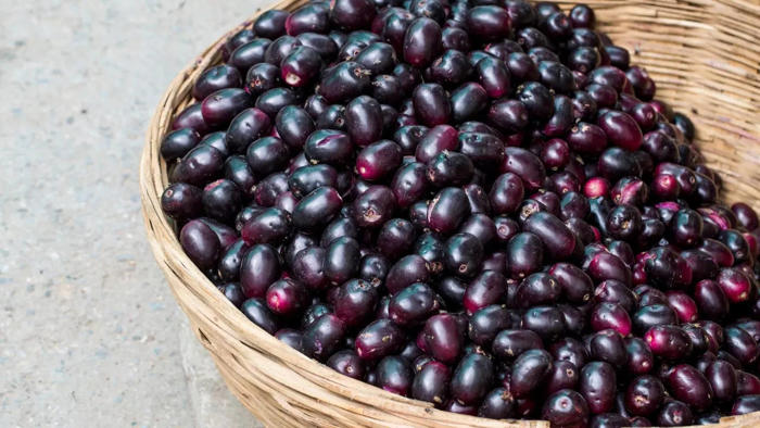 jamun: why is this desi berry considered ‘amrit’ in ayurveda