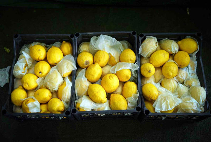 i̇stanbul’da limonun tanesi 10 tl’ye dayandı, ağustos’tan itibaren gerileme bekleniyor
